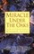 Miracle Under the Oaks : The Revival of Nature in America