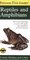 Reptiles and Amphibians (Peterson First Guides)