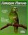 Amazon Parrots (Barron's Pet Owner's Manual)