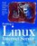 Building a Linux Internet Server