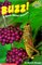Buzz!: A Book About Insects (Hello Reader! Science: Level 3 (Hardcover))