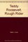 Teddy Roosevelt, Rough Rider (Easy Biographies)