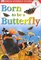 Born To Be A Butterfly (DK Readers, Level 1: Beginning to Read)