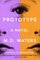 Prototype: A Novel (Archetype)