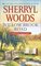 Willow Brook Road (Chesapeake Shores, Bk 13)