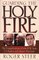 Guarding the Holy Fire: The Evangelicalism of John R.W. Stott, J.I. Packer, and Alister McGrath
