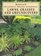 Lawns, Grasses and Groundcovers: Lawns, Grasses, and Ground Covers (Rodale's Successful Organic Gardening)