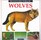 The Fascinating World Of...Wolves