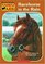 Racehorse in the Rain  (Animal Ark, Bk 40)