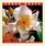 Shrub Roses (Mcdonald, Elvin. Rose Garden Series.)