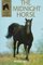 The Midnight Horse (Sandy Lane Stables, Bk 4)