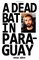 A Dead Bat In Paraguay: One Man's Peculiar Journey Through South America