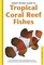 Handy Pocket Guide To Tropical Coral Reef Fishes (Handy Pocket Guides)