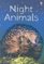 Night Animals (Beginners Nature)