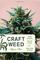 Craft Weed: Family Farming and the Future of the Marijuana Industry (The MIT Press)