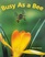 Busy as a Bee (Mini Book)