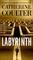 Labyrinth (FBI Thriller, Bk 23)