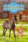 The Forgotten Filly (Ashleigh's Thoroughbred Collection)