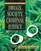 Drugs, Society, and Criminal Justice (2nd Edition)