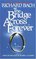 The Bridge Across Forever : A Lovestory