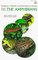 Handbook of Reptiles and Amphibians of Florida: The Amphibians, Part 3 (Handbook of Reptiles & Amphibians of Flo)