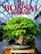 The Bonsai Workshop (Our Garden Variety)