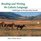 Reading and Writing the Lakota Language Book on CD