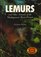 Lemurs and Other Animals of the Madagascar Rain Forest (Animals & the Environment)