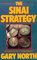 Sinai Strategy