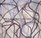 Brice Marden: Cold Mountain (Menil Collection)