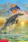 Beyond the Sunrise (Dolphin Diaries, Bk 10)