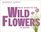 Field Guide to the Wild Flowers of Britain (Nature Lover's Library)