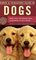 Simon and Schuster's Guide to Dogs