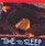 Time to Sleep (An Owlet Book)