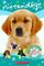 Do You Know Your Dog?: A Breed-by-Breed Guide (Nintendogs)