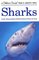 Sharks: A Golden Guide from St. Martin's Press