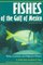 Fishes of the Gulf of Mexico: Texas, Louisiana, and Adjacent Waters (W.L. Moody, Jr., Natural History Series , No 22)