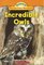 Incredible Owls (Science Vocabulary Readers)