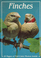 Finches