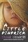 A Little Pinprick (Rainey Paxton Series)