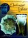 Standard Encyclopedia of Opalescent Glass: Identification & Values (2nd Edition)