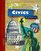 Civics in America (Nextext Coursebook)