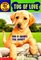 Tug of Love (Puppy Patrol, Bk 6)