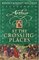 At the Crossing-places (Arthur Trilogy, Bk 2)