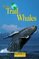 On the Trail of Whales (Barron's Nature Travel Guides)