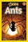 National Geographic Readers: Ants