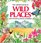 The Usborne Book of Wild Places: Mountains, Jungles & Deserts (Explainers)