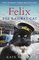 Felix the Railway Cat