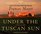 Under the Tuscan Sun: At Home in Italy (Audio CD) (Abridged)