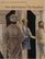 Piero Della Francesca : The Flagellation